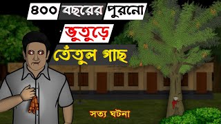 Bhuter Golpo  400 Year Old Spooky Tamarind Tree  Real Ghost Stories [upl. by Lowry25]