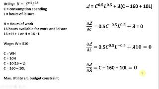 Lagrangian LaborLeisure Choice Model [upl. by Wohlert]