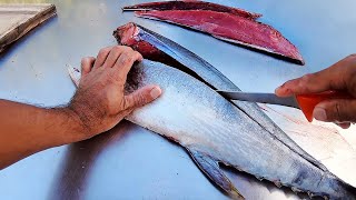 How To Fillet Tuna  From Start To Finish [upl. by Katrine]