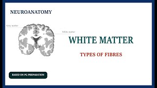 WHITE MATTER  TYPES OF FIBRES  NEUROANATOMY [upl. by Elokkin121]