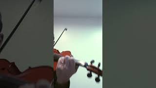 Paganini Violin Sonata No12 [upl. by Ziza870]