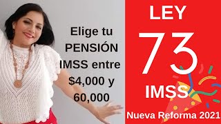 LEY 73 Modalidad 40 Elige tu PENSIÓN IMSS entre 4000 y 60000 [upl. by Sopher982]