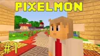 Pixelmon  Learning The Basics  Part 1 [upl. by Ahsenid]