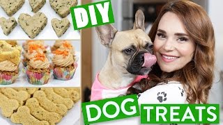 DIY DOG TREATS [upl. by So459]