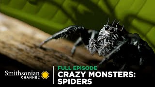 Crazy Monsters Spiders 🕷️ FULL EPISODE  Smithsonian Channel [upl. by Ladew194]