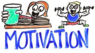 The Science Of Motivation [upl. by Madella]