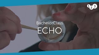 Echo BachelorClass  Your introduction to basic echocardiography [upl. by Arakat]