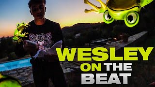 Inoxtag WESLEY FREESTYLE les croutons en Corse [upl. by Christa918]