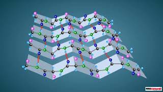 Proteins and their Structure [upl. by Leuqram]