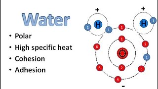 Water Chemistry [upl. by Ramas]