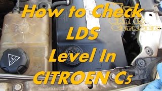 Citroen C5  How to Check LDS Level  Citroen Hydractive Suspension Fluid Level [upl. by Phelia]