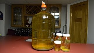 Making White Wine from Juice 2016 Pinot Grigio [upl. by Pik]