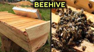 Making an Easy and Quick BEE HIVE [upl. by Aelyk]