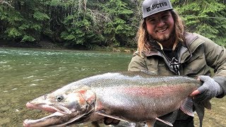 Multiple 20 Lb STEELHEAD Landed River Fishing  Addicted Life Ep 25 [upl. by Marylou238]