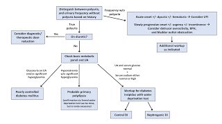 An Approach to Polyuria [upl. by Rovaert83]