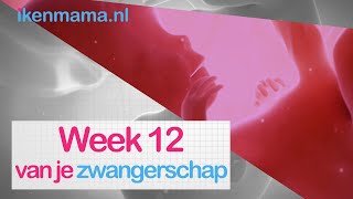 12 weken zwanger  ikenmamanl [upl. by Epilihp]