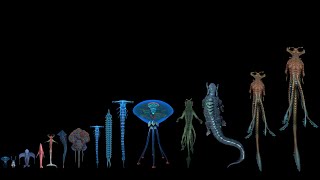 All Leviathan Class Organisms known yet on 4546B  All leviathan size comparison [upl. by Alton]