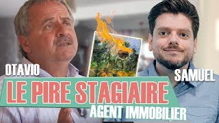 Le Pire Stagiaire  lagent immobilier version longue [upl. by Nosauq135]