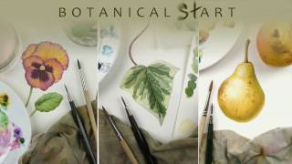 Watercolour techniques used for botanical art [upl. by Hedley203]