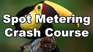 Spot Metering Crash Course [upl. by Atinihc]