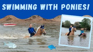 Swimming bareback with ponies My Pony Popcorn goes for a swim  SO FUN  FALL OFF  FOREST RIDE [upl. by Otrebile669]