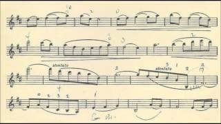 Toselli Enrico Serenata for violin  piano [upl. by Arrec]