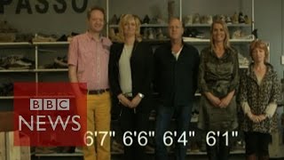 Why are the Dutch so tall BBC News [upl. by Notsuj]