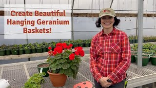 How to Plant Geraniums in Hanging Baskets [upl. by Bruyn639]