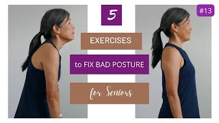 5 Exercises to Fix Bad Posture for Seniors [upl. by Chaim843]