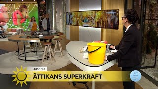 Marlene visar upp ättikans superkraft  Nyhetsmorgon TV4 [upl. by Barny216]