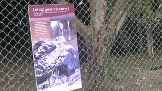 vogelpark avifauna vlog 4 [upl. by Shara798]