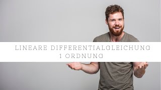 Lineare Differentialgleichung DGL 1 Ordnung  Einfach erklärt [upl. by Nelyag]