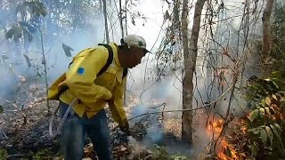 Feux en Amazonie  les tribus indigènes en danger [upl. by Ahsinac]