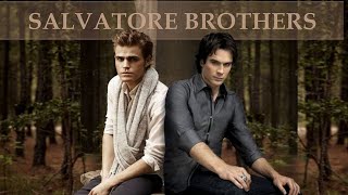 Stefan and Damons best brotherly moments [upl. by Isador642]