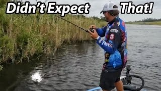 How to Fish a Spinnerbait  Scott Martin  Everything you need to know [upl. by Eneleuqcaj]