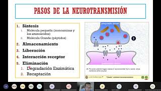 Neurotransmisores y neurotransmisión [upl. by Anaujait]