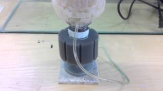 DIY K1 Kaldnes Bottle Filter [upl. by Ahter]