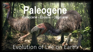 The Evolution of Life part 11  Paleogene [upl. by Casia]