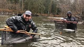 THE BEST STEELHEAD FISHING IN THE ENTIRE WORLD [upl. by Atsirhc973]