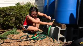 Using Rain Barrels to Irrigate Your Garden [upl. by Eidnas]