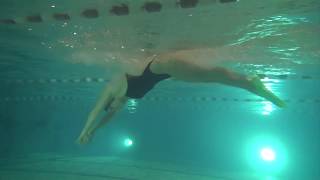 Exercice le papillon baleine [upl. by Chery]