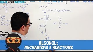 Organic Chemistry Alcohol Mechanisms amp Reactions [upl. by Nahsaj]