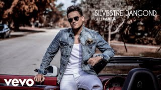 Silvestre Dangond  La Llamadita Audio [upl. by Macguiness342]