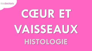 Le SYSTÈME CARDIOVASCULAIRE dans le VIEILLISSEMENT PHYSIOLOGIQUE Gériatrie [upl. by Africa]