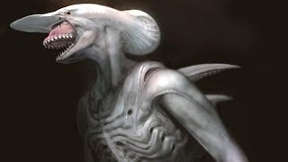 10 More Exotic Xenomorphs [upl. by Shurlocke]