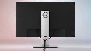 Dell 22 Monitor  P2219H [upl. by Hodges]