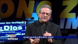 ¿Qué significado tiene el persignarse  Padre Pedro Núñez [upl. by Thamora]