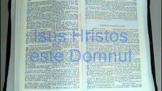 5  FAPTELE APOSTOLILOR  Noul Testament  Biblia Audio Romana [upl. by Sung]