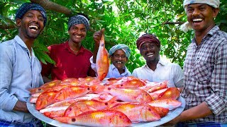 INDIAN GOAT FISH FRY  20 Kg Fish Fry with Flavoured Oil  Nagarai Meen Poriyal  Cooking In Village [upl. by Jaclyn]