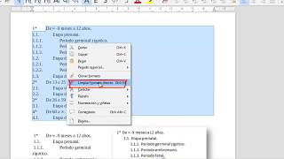 Esquema numerado en LibreOffice [upl. by Ellinehc]